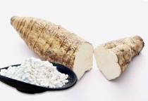 Bột sắn dây: 7 tác dụng thần kỳ và cách pha chuẩn y khoa