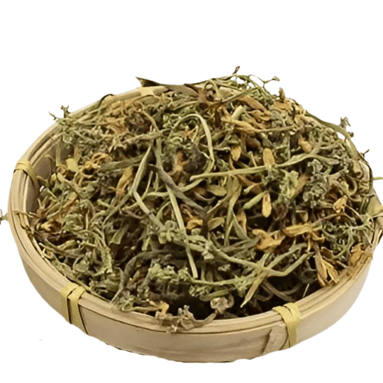 Hoa Đu Đủ Đực – Thảo dược quý hỗ trợ sức khỏe